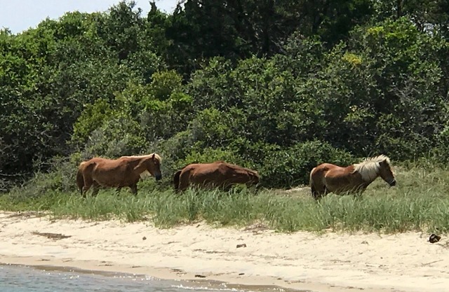 Waterfront vacation rental with views of Cape Lookout Lighthouse!