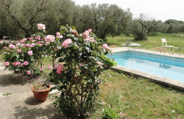 Welcome to the Alpilles