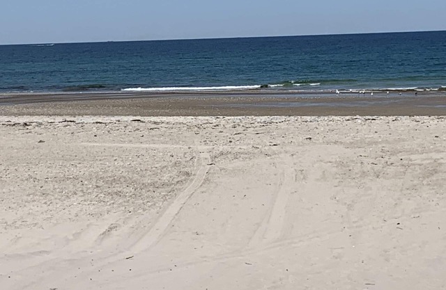 White horse beach in Plymouth