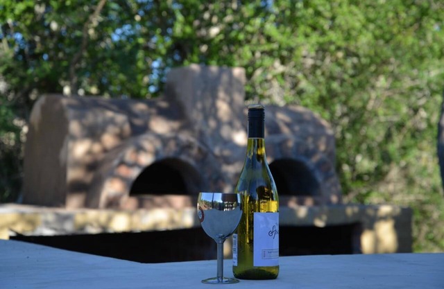Wild Olive Tree Camp