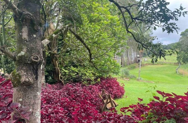 Windaboo @ Rosebank Byron Hinterland Estate