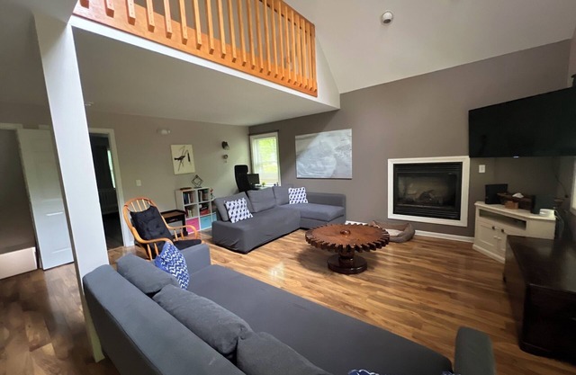 Winnipesauke dog/family friendly contemporary home