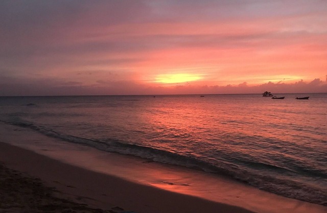Winter/Spring Bookings! Anidele Spice - 1BR in Historic Holetown near Beach/Pool