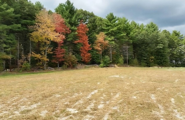 Wonderful Trip! 2 Relaxing Units w/Free Breakfast & Free Parking!