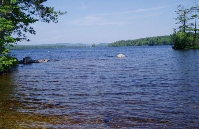 Wooded Highland Lake Waterfront Cabin - Great Beach and Dock