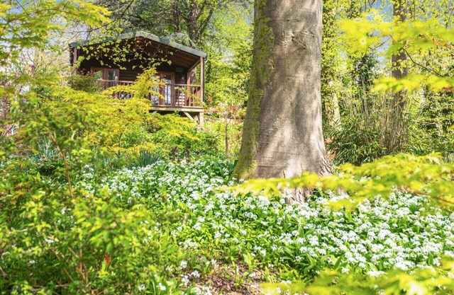 Woodland Views Lodge
