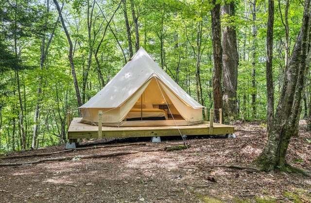 Yak Eco Camp - Site #4
