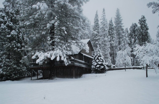 Yosemite’s Hitescove Hideaway!
