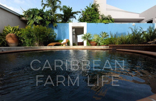 Your home away from home on the Farm, 4 Casitas Bed n Breakfast - Casita 2