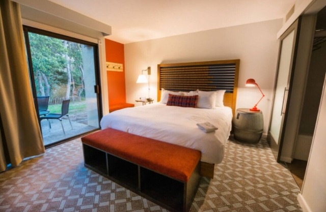 Your Ultimate Nature Retreat Starts Here | Forest View Room w/Patio | Scenic