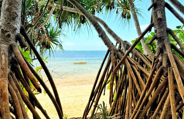 Z-Lodge Zanzibar