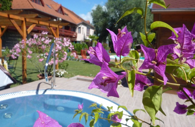 Zsanett Hotel