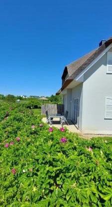 zwisch Boltenhagen und Pötenitz Ostseeurlaub bis 6 Pers "Alte Liebe"Haus B