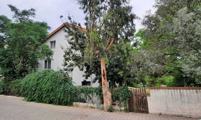 Kusadasi Bed & Breakfast | Çam ağaçları altında, otantik, büyük bahçeli, denize yakın ve yine de merkezi