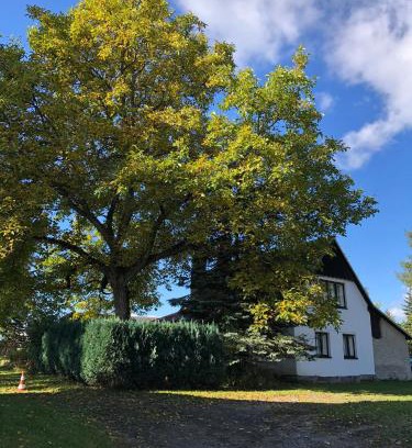 Vysoke nad Jizerou House | Útulná chaloupka v Krkonoších