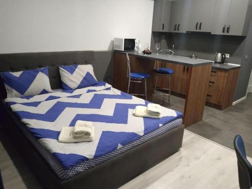 Uzhhorod Apartment | АпартаментиTrembita