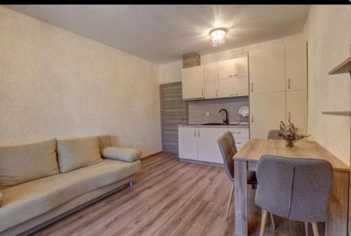 Shkorpilovtsi Apartment | Апартамент Ани