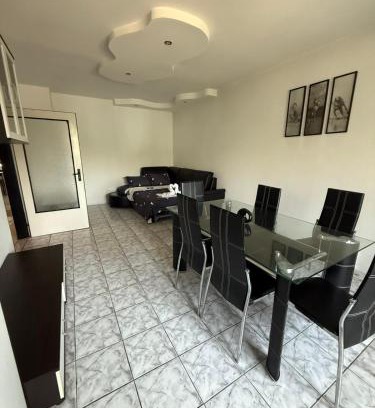 Vidin Apartment | Апартамент
