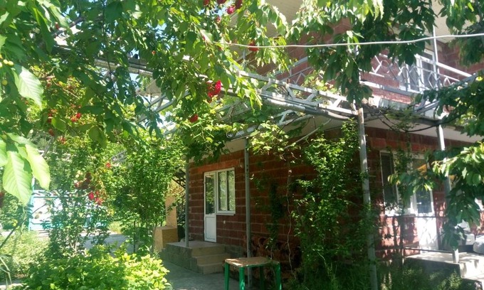 Agoy House | Вино кино