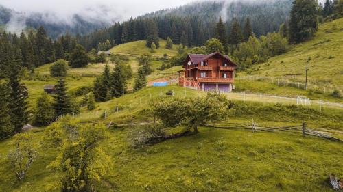 Verkhovyna Cabin | Вище за хмари