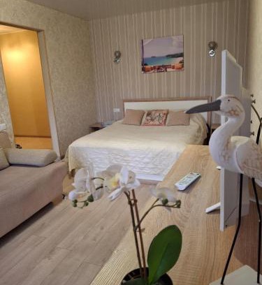 Lenins'kyi district Apartment | Квартира Центр