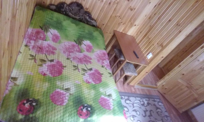 Kamennomostskiy House | На Зеленой горке