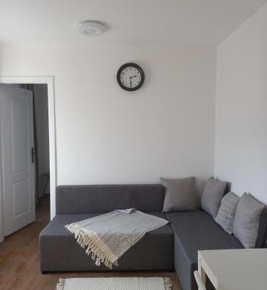 Zrenjanin Apartment | Сјајни лешник