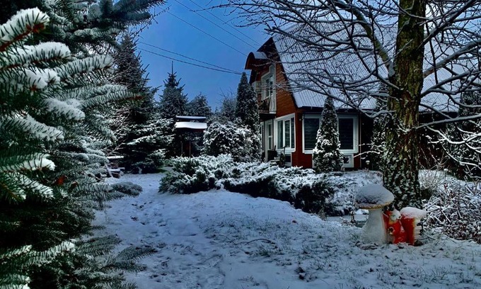 Vishnevka House | Три богатыря