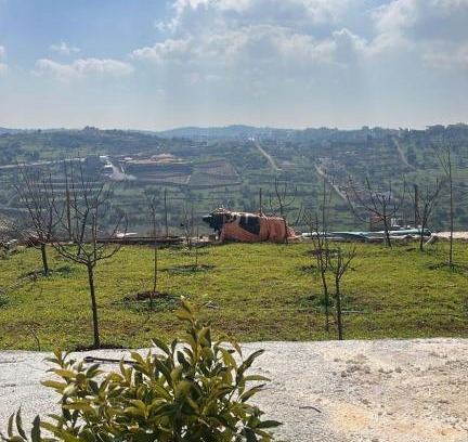 Ajloun Governorate Apartment | بيت في رأس منيف