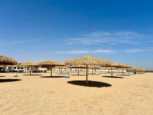Ain Sokhna House | شاليه بحديقة