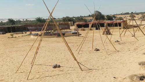 Al Fayoum Other | مخيم وادى الحيتان بالفيوم