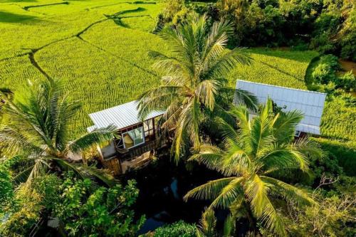 Nan House | ต้งโฮมสเตย์ กลางทุ่งนา Local Homestay and View