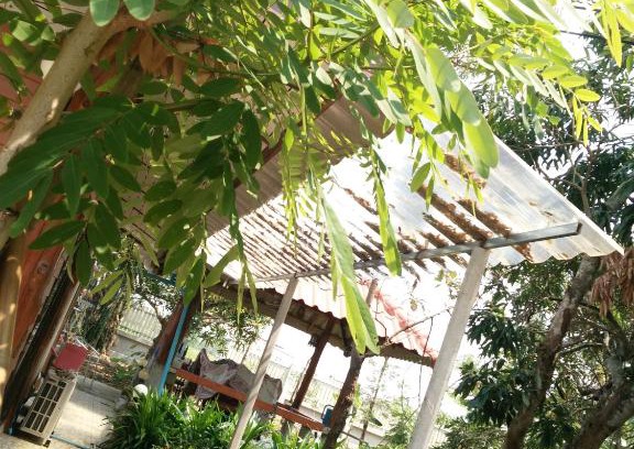 Mueang Nga House | ต้งโฮมหละปูน