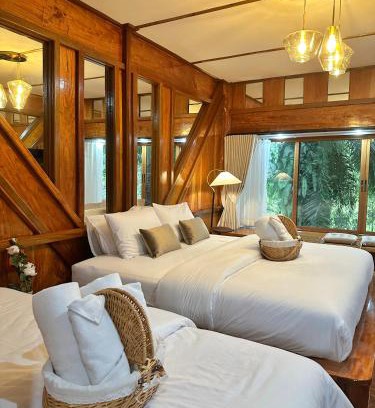 Sichon House | บ้านต้นไม้ The Tree House ณคอนศรี ติดวัดเจดีย์ ไอ้ไข่