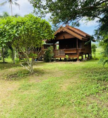 Wang Nam Khiao Other | บ้านสวนแค้มป์ปิ้ง ท้ายเขื่อน วังน้ำเขียว