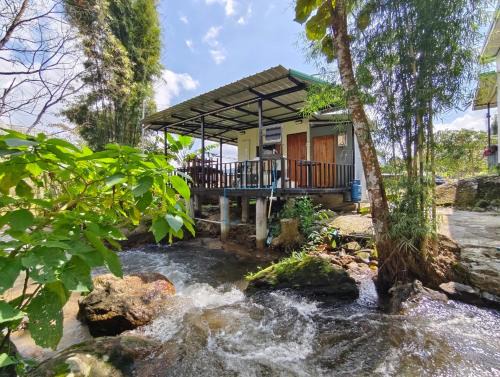Chom Thong House | อินทนนท์ บ้านพักเล่าจู Inthanon Laoju House