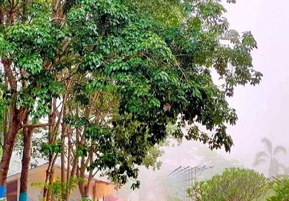 K. Phu Pieng Resort | ฮักฮิมเกี๋ยน รีสอร์ท น่าน Hug Him Kien