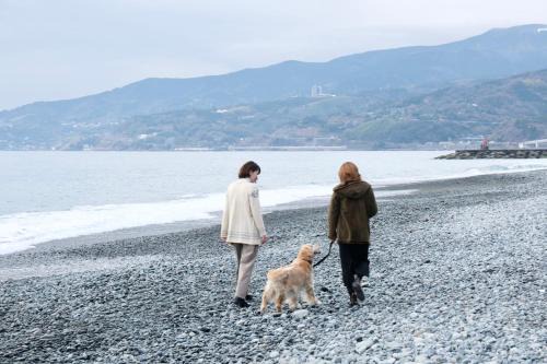 Odawara Apartment | いぬと海辺