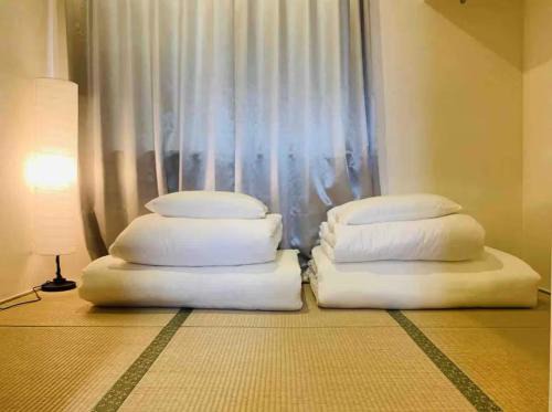 Takadanobaba Apartment | 東京 新宿 高田馬場 高级别墅