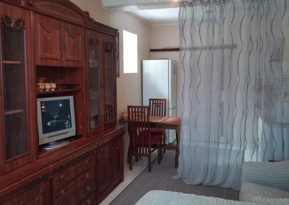 Tsentralnyy Apartment | 1 комнатная квартира