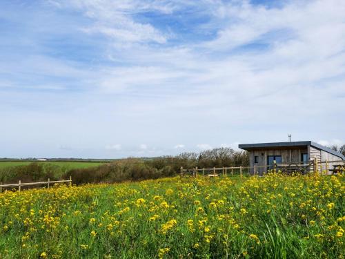 Bude House | 1 Bed in Bude 88499