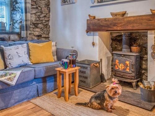 Llanaelhaearn House | 1 bed property in Trefor Beach 77891