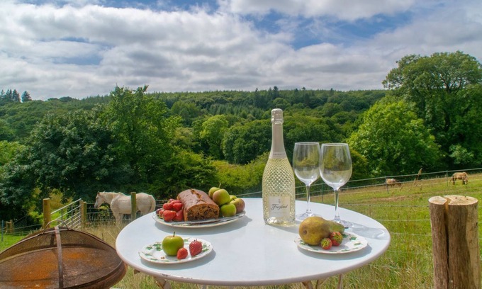 Haverfordwest Cottage | 1 bedroom accommodation in Fishguard