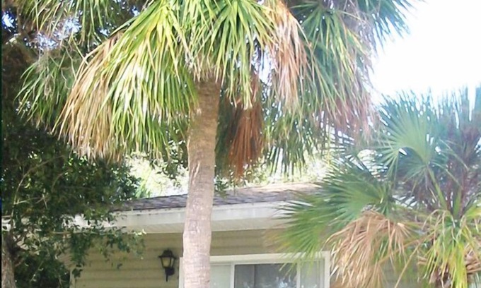 Holmes Beach House | 1 Block To Beach! Convenient, Modern, Comfortable, Clean.