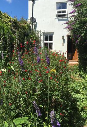 Dawlish Bed & Breakfast | 1 Laurel Cottages