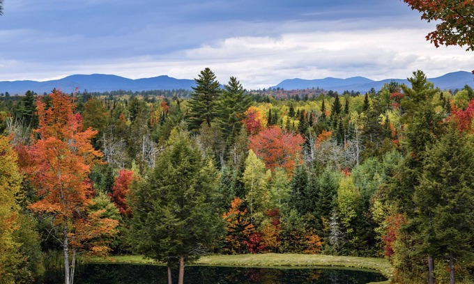 Brownville Cabin | 10 Bedroom Lodge Retreat on Deer Farm
