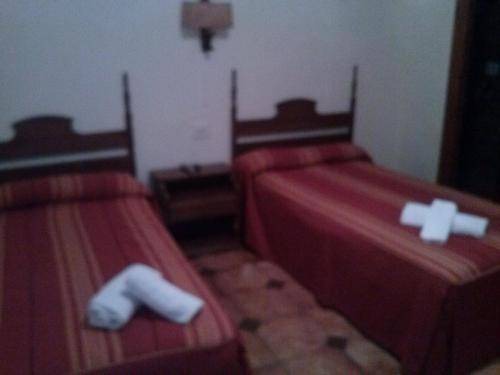 Quinto Bed & Breakfast | 15 m² Bed and breakfast ∙ 2 guests