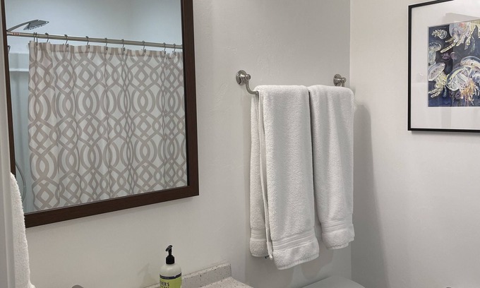 Neenah Apartment | 15 minutes to EAA. Newly renovated, Luxury 1 Bedroom in historic downtown Neenah