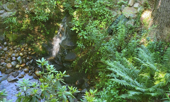 Franklin House | 1660 Guest House; Waterfall, Creek, Large Deck, Fire Ring