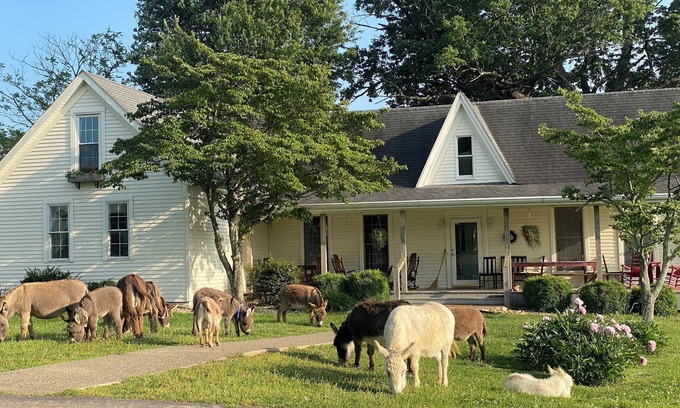 Heltonville Other | 1884 Farmhouse at Donkeytown Designed for large get togethers!